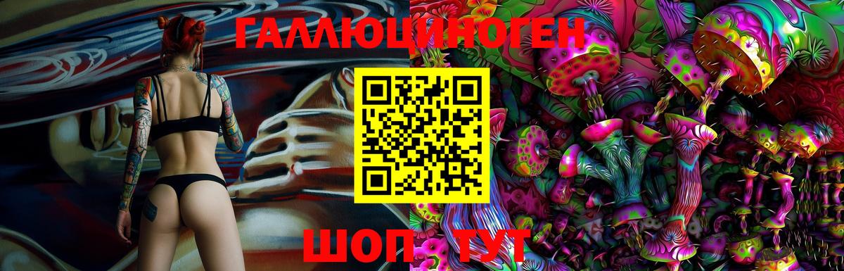 Галлюциногенные грибы MAGIC MUSHROOMS  Псилоцибиновые грибы Cubensis  Майский  Вход с VPN 