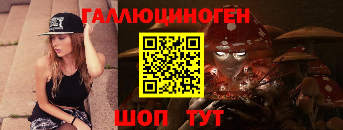 Галлюциногенные грибы Psilocybine cubensis Майский